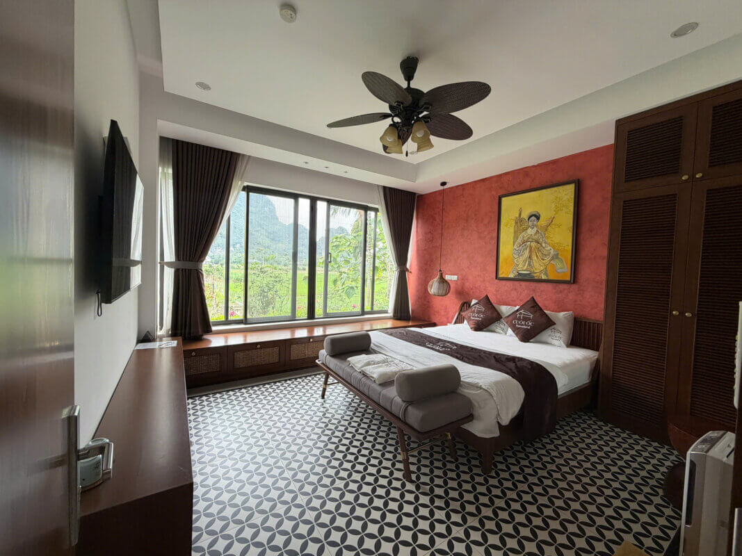 17064618479619767372